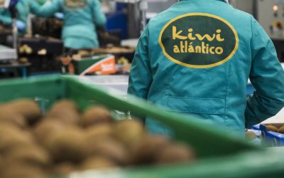 Kiwi Atlántico afronta el 2021 con nuevas inversiones