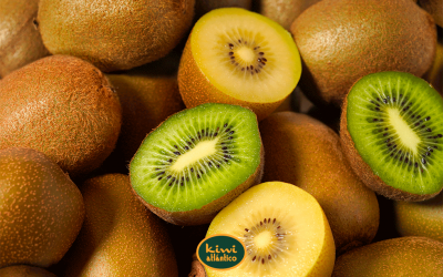 Qué kiwi es mejor: el verde o el amarillo